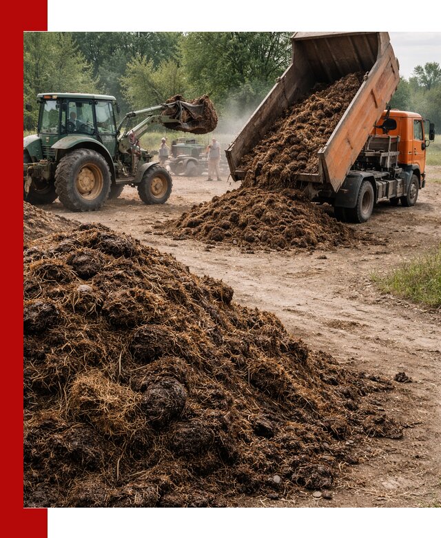 Доставка навоза самосвалами в Соколе для сельхозпотребностей